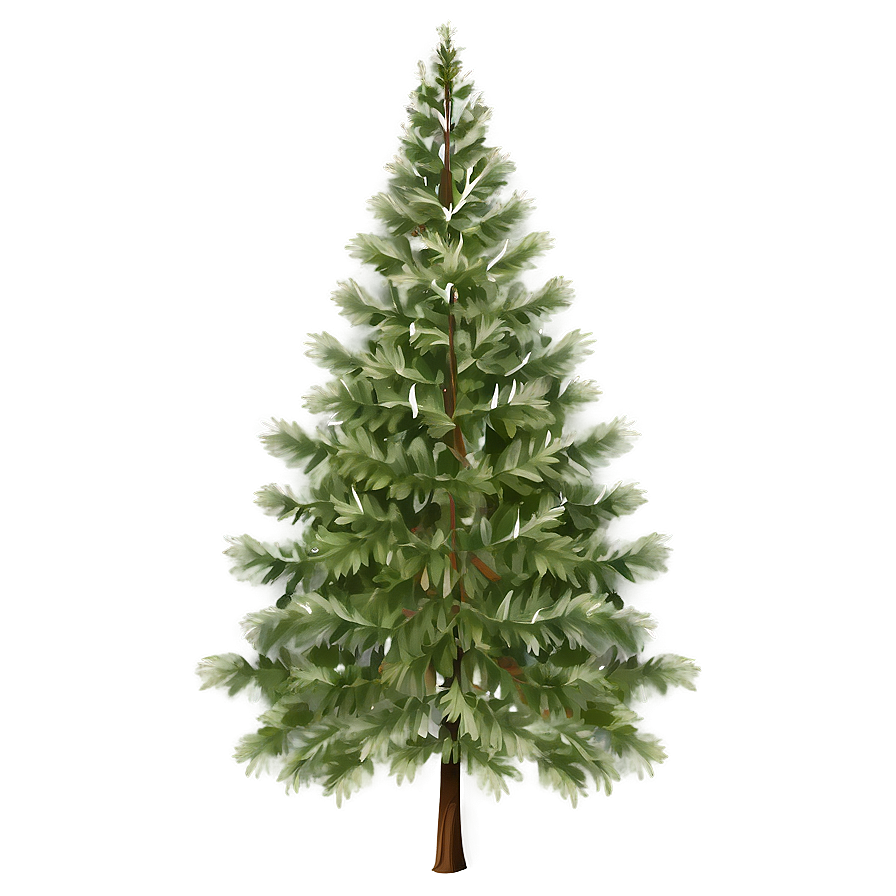 Evergreen Tree In Nature Png Yhx PNG Image