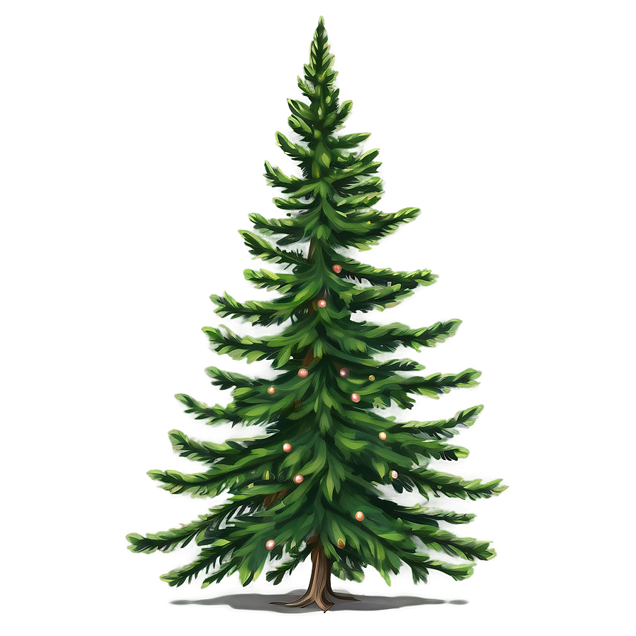 Evergreen Tree Outline Png 06212024 PNG Image