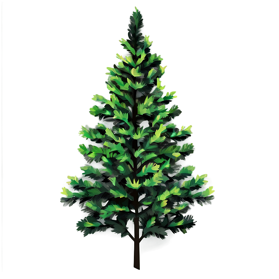 Evergreen Tree Shadow Png Ijb2 PNG Image