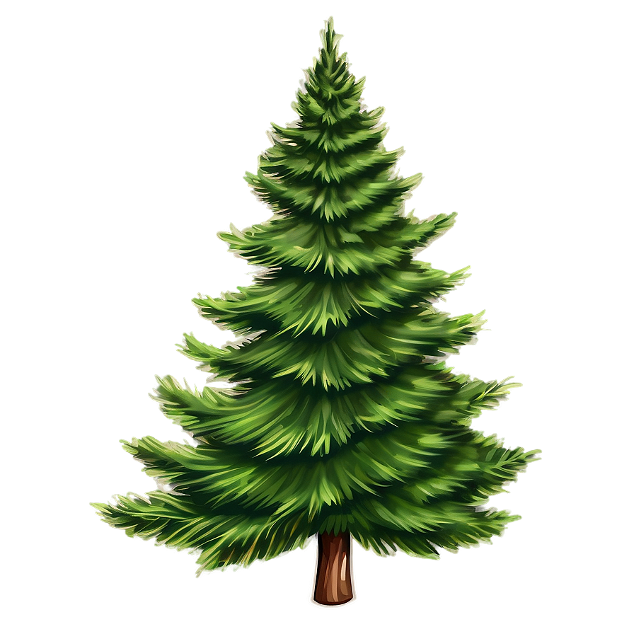 Evergreen Tree Sketch Png 06122024 PNG Image