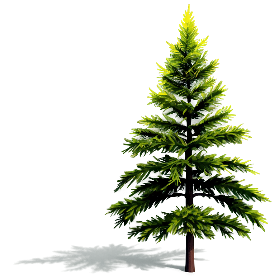 Evergreen Tree Sunrise Png 10 PNG Image