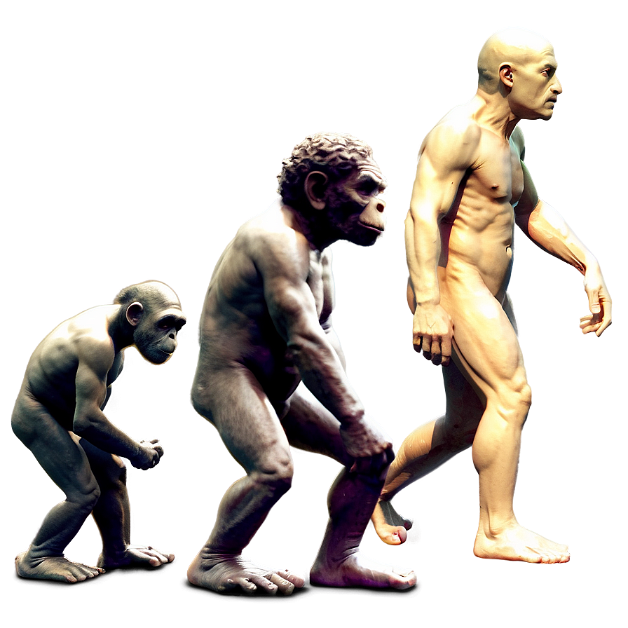 Evolution Of Art Png 06242024 PNG Image