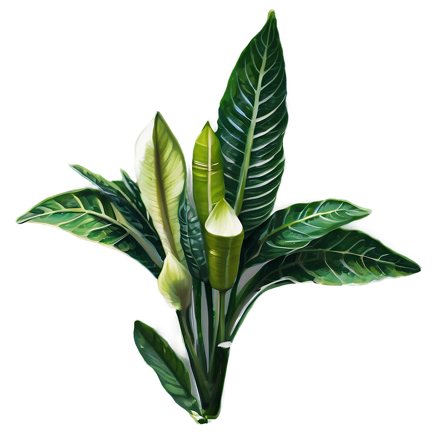 Exotic Herb Png Oyv PNG Image