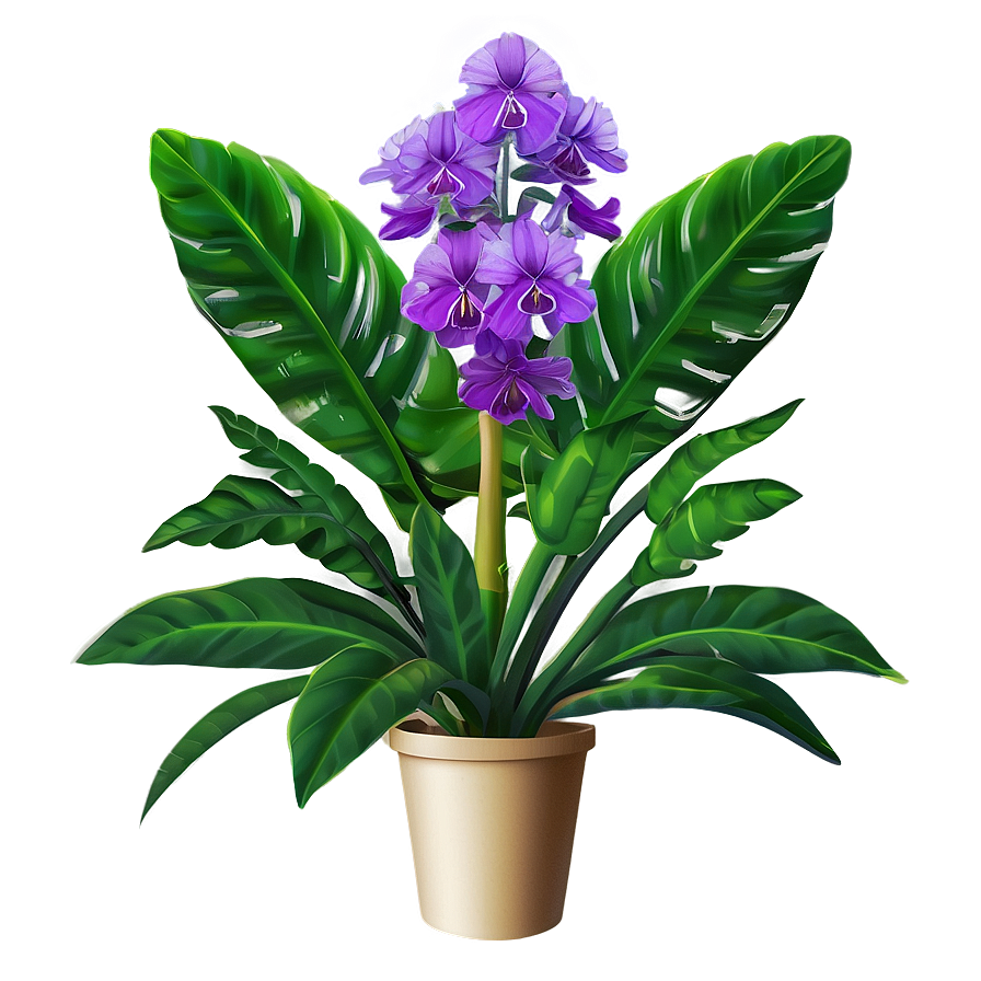 Exotic Plant Png 05032024 PNG Image