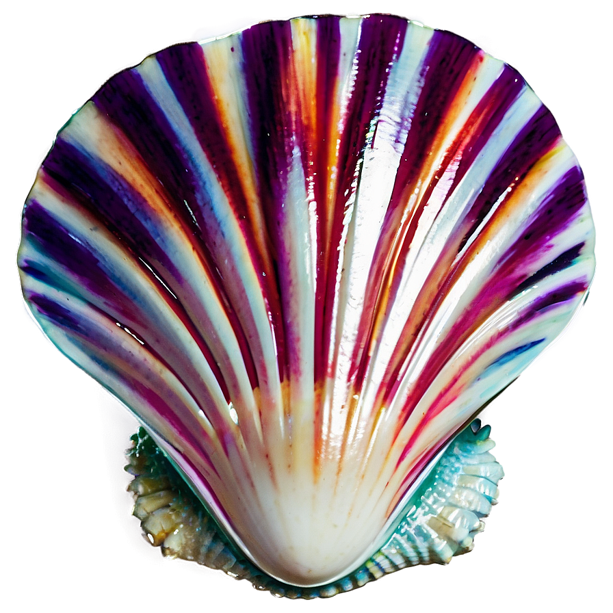 Exotic Shell From Distant Shore Png 35 PNG Image