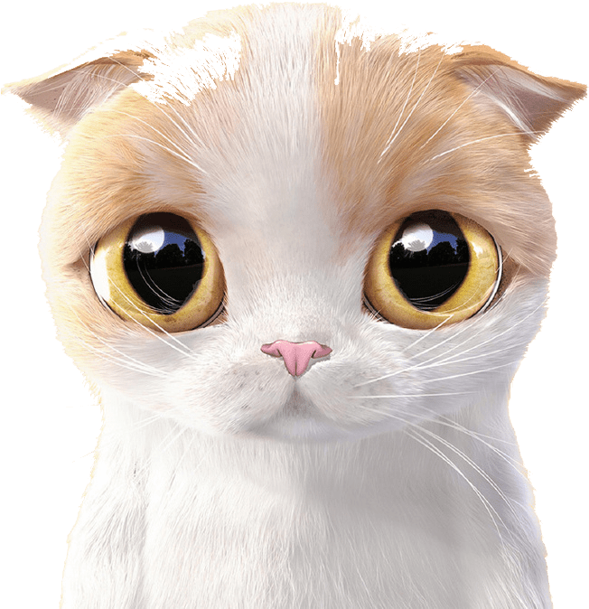 Expressive Cartoon Cat Face PNG Image