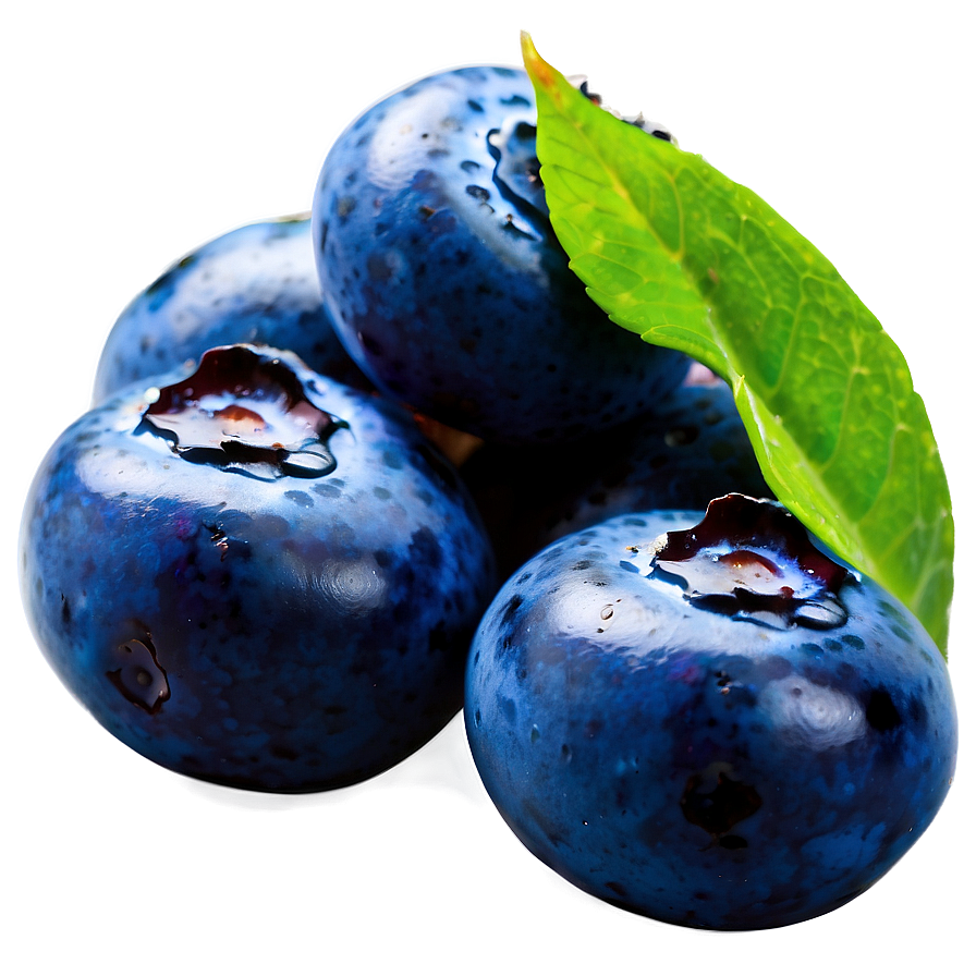 Exquisite Blueberry Display Png 96 PNG Image