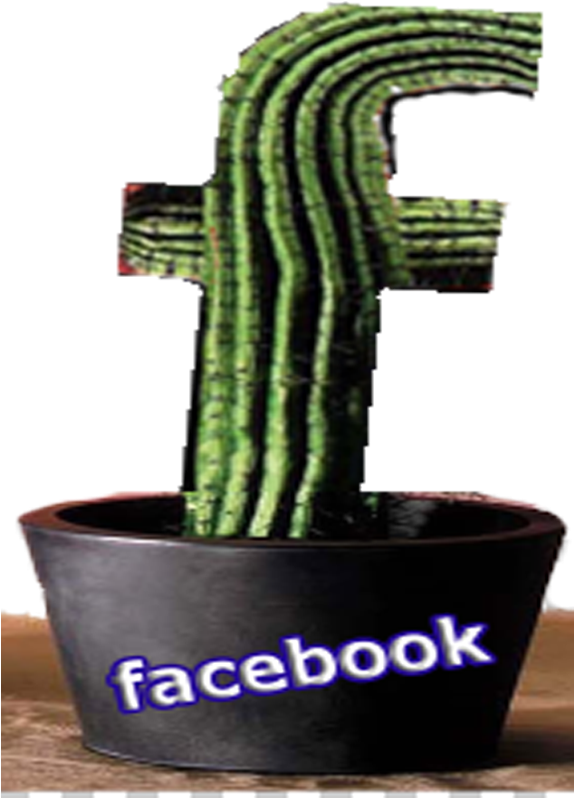 Facebook Cactus Pot Concept PNG Image