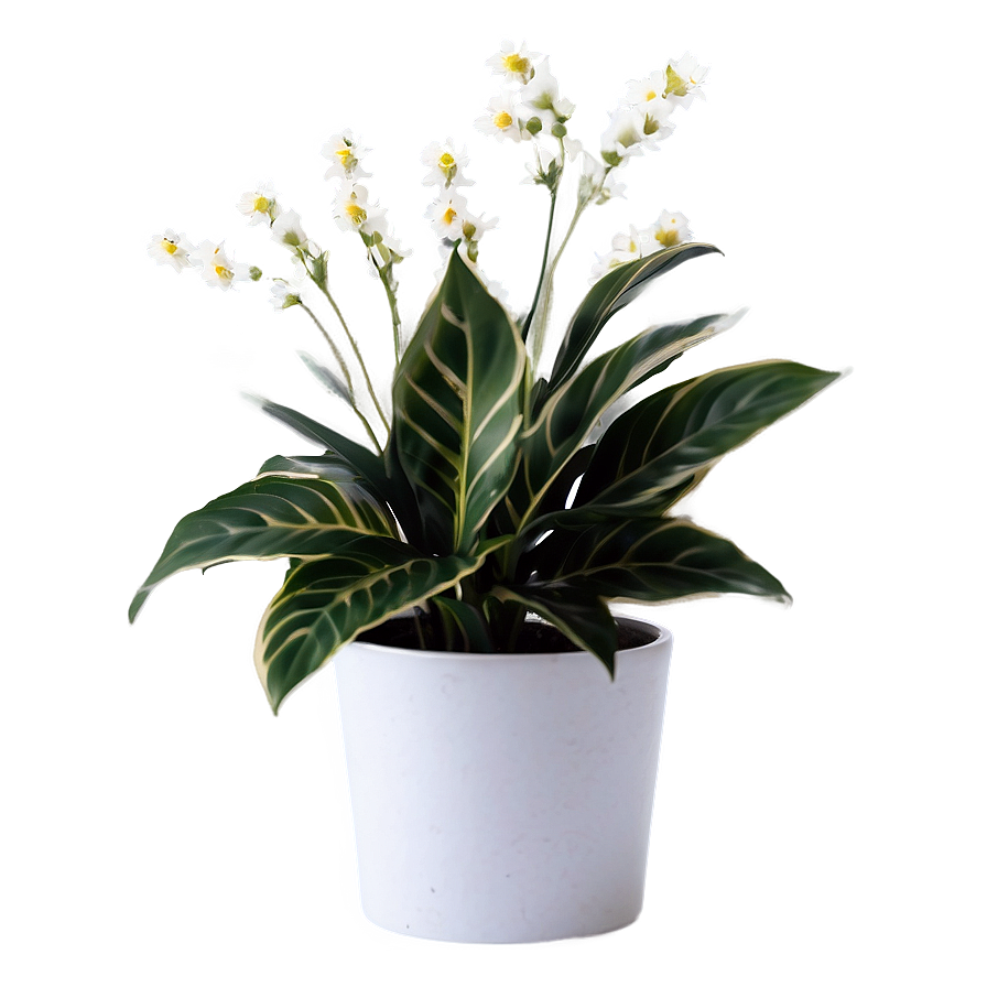 Fake Plant With Flowers Png Igp88 PNG Image