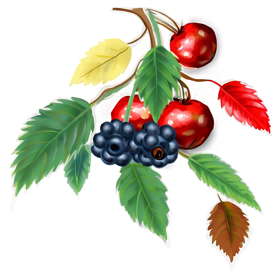 Fall Berries Png Iws PNG Image