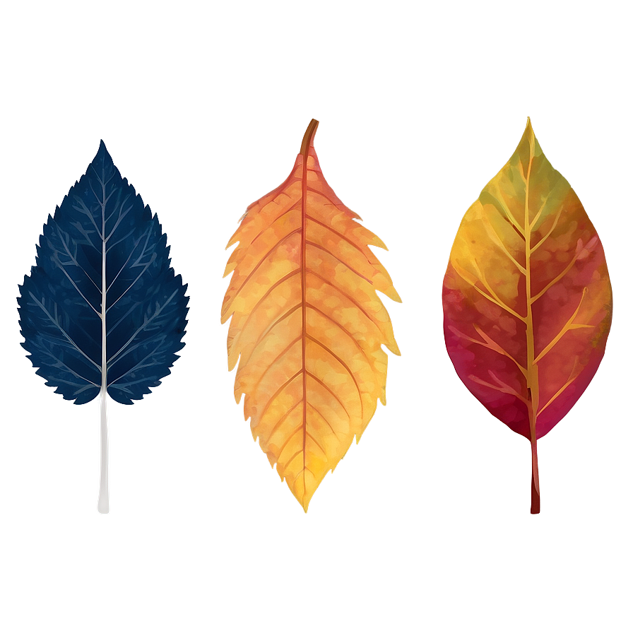 Fall Foliage Png Rwo PNG Image