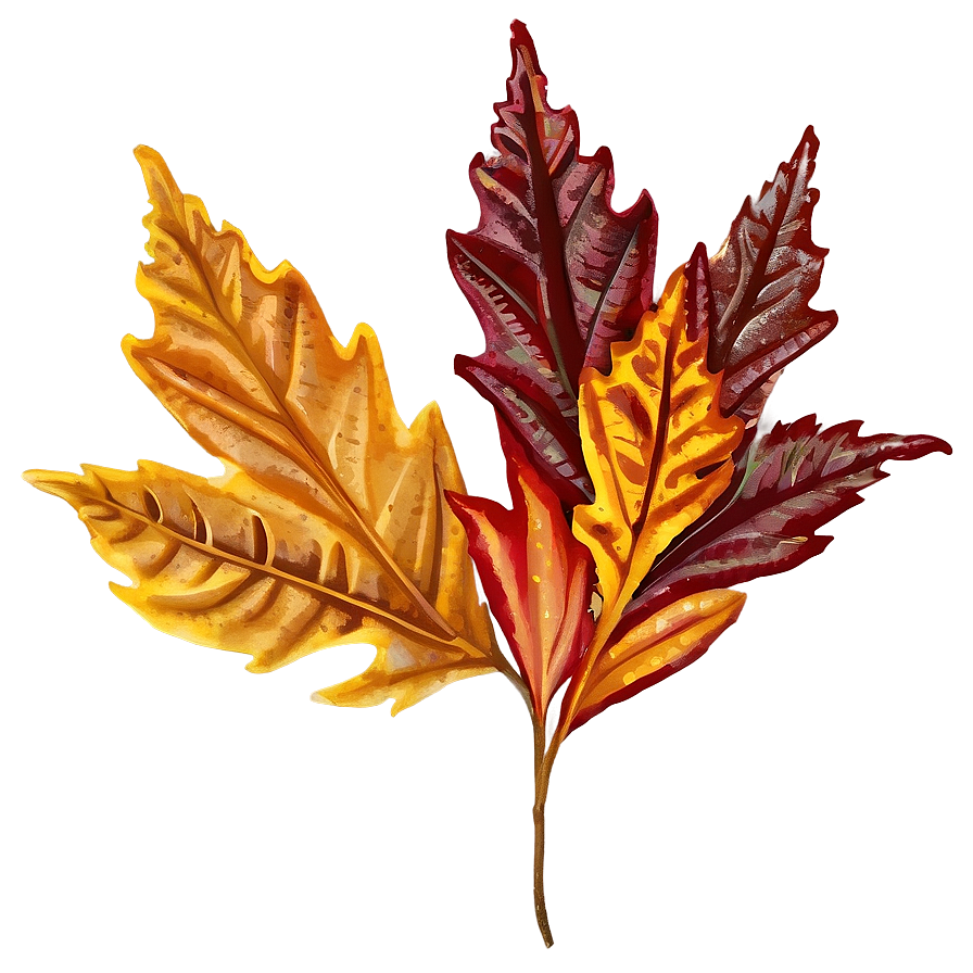 Fall Leaf Clipart Png 05252024 PNG Image