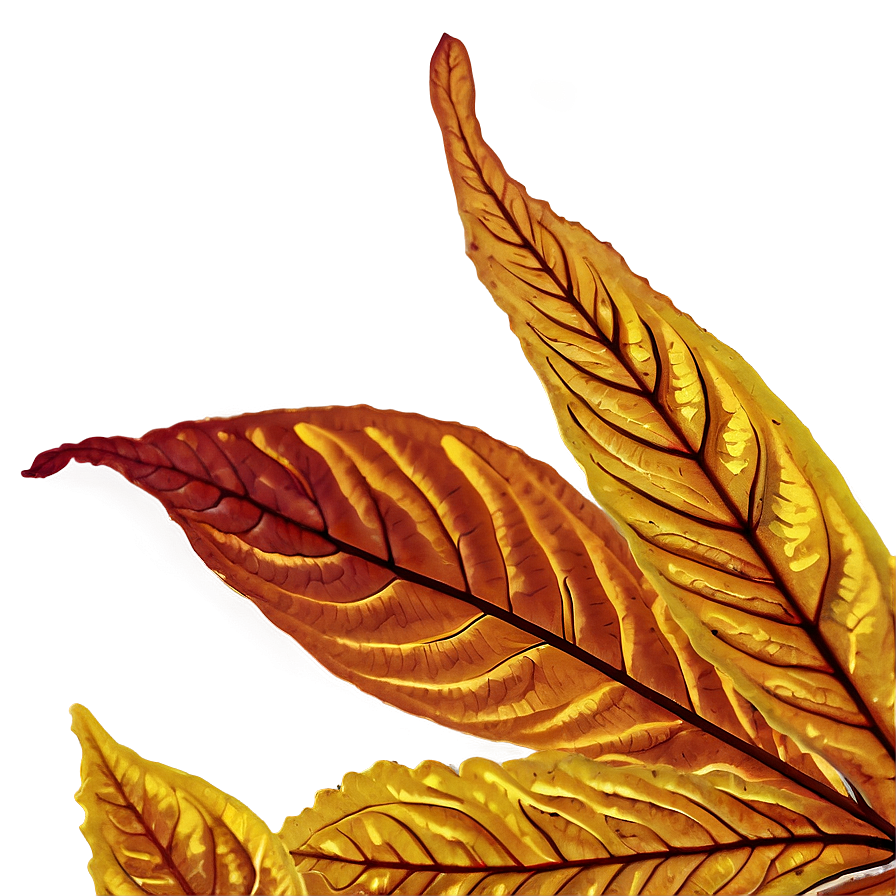 Fall Leaf Close-up Png Dsj PNG Image