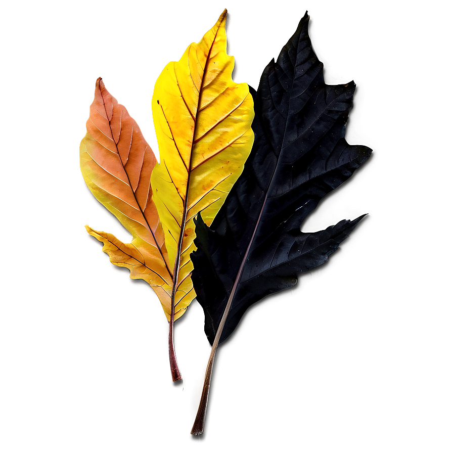 Fall Leaf On Black Png Wci40 PNG Image