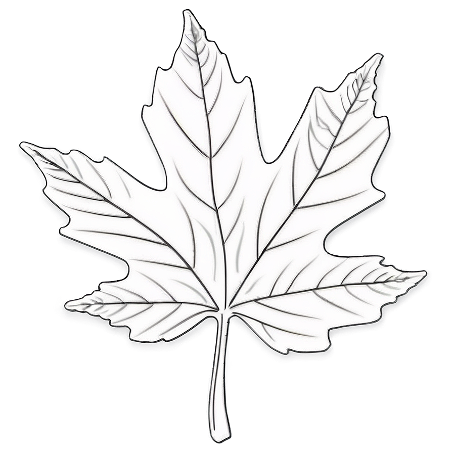 Fall Leaf Outline Png Ldk46 PNG Image