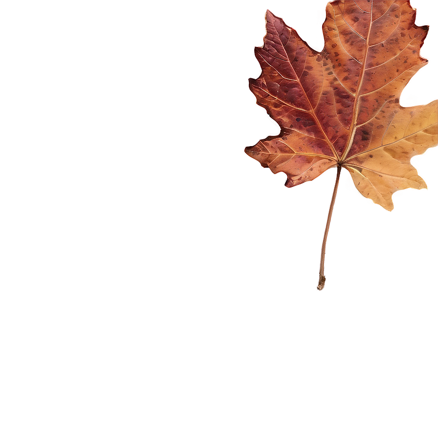 Fall Leaf Under Foot Png Eat76 PNG Image