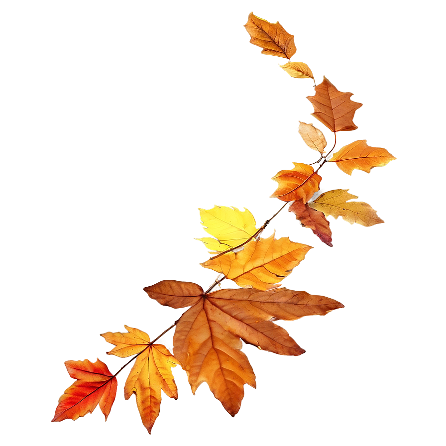 Fallen Autumn Leaves Png 59 PNG Image