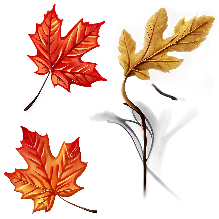 Fallen Leaves Png 54 PNG Image