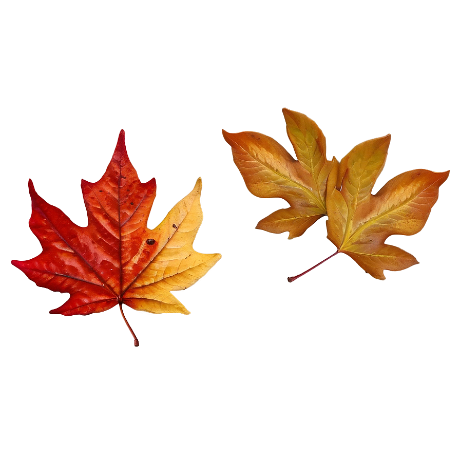 Fallen Leaves Png Gwt23 PNG Image