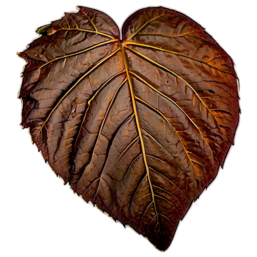 Fallen Leaves Png Tfe15 PNG Image