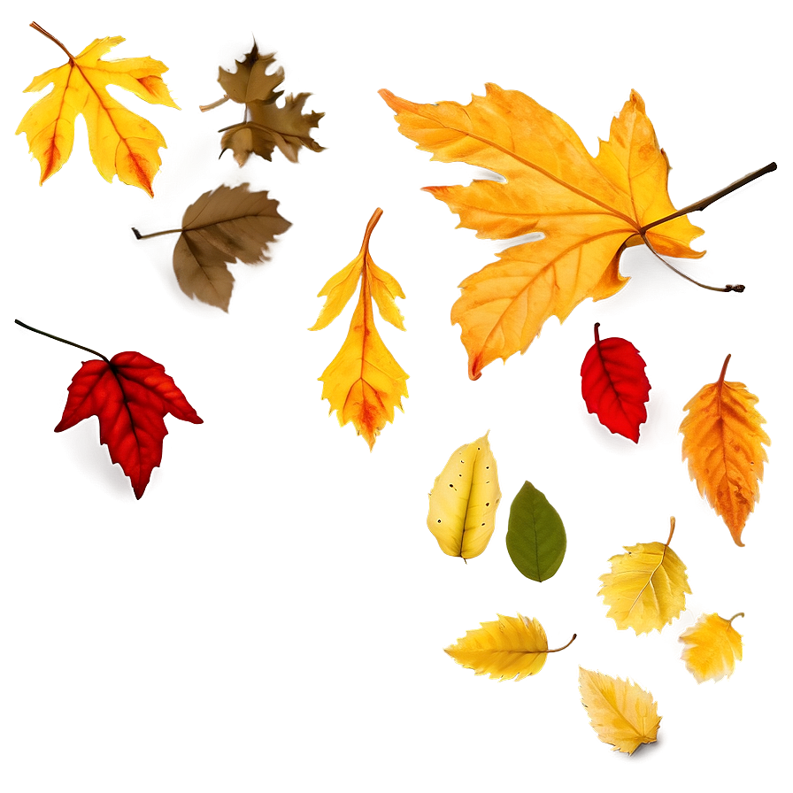 Falling Leaves B PNG Image