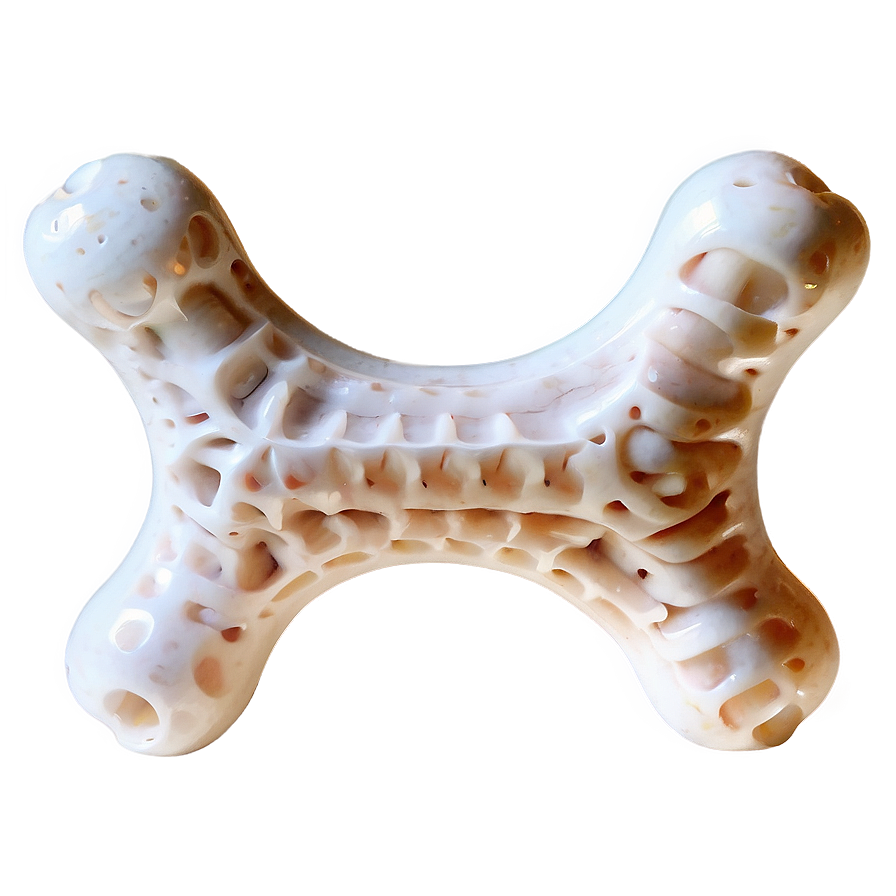 Fancy Dog Bone Png Uab PNG Image