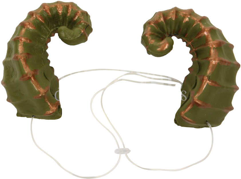 Fantasy Costume Horns PNG Image