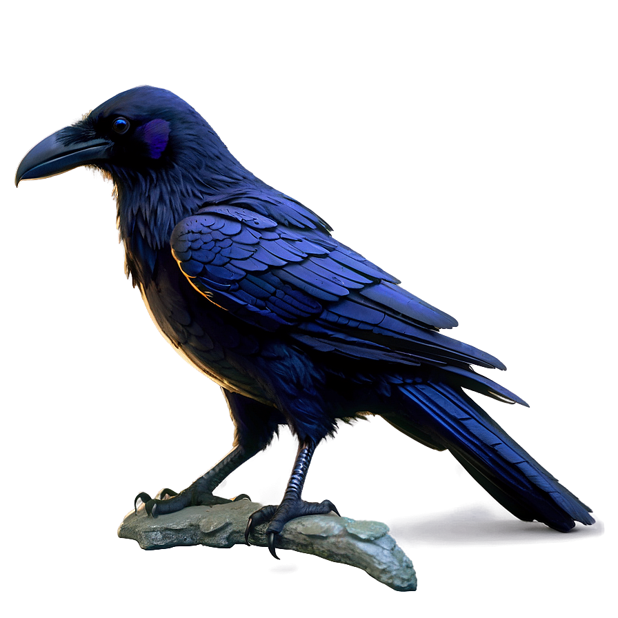 Fantasy Raven Png Pil65 PNG Image