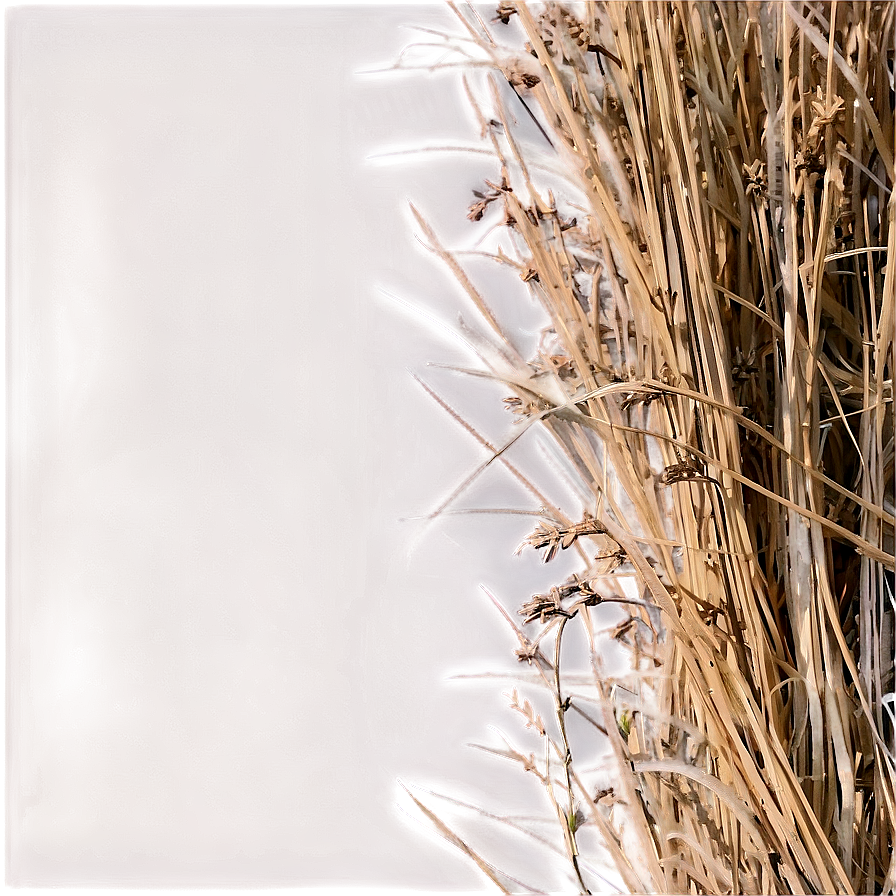 Farm Dry Grass Png Kov50 PNG Image