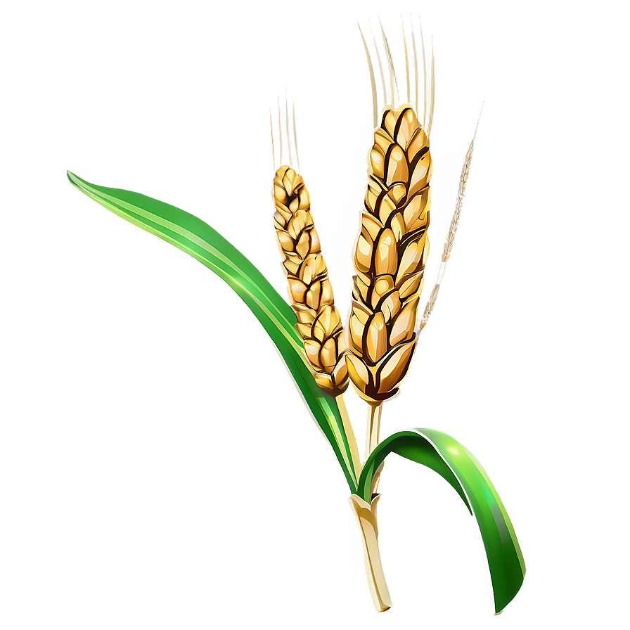 Farm Fresh Wheat Png 74 PNG Image