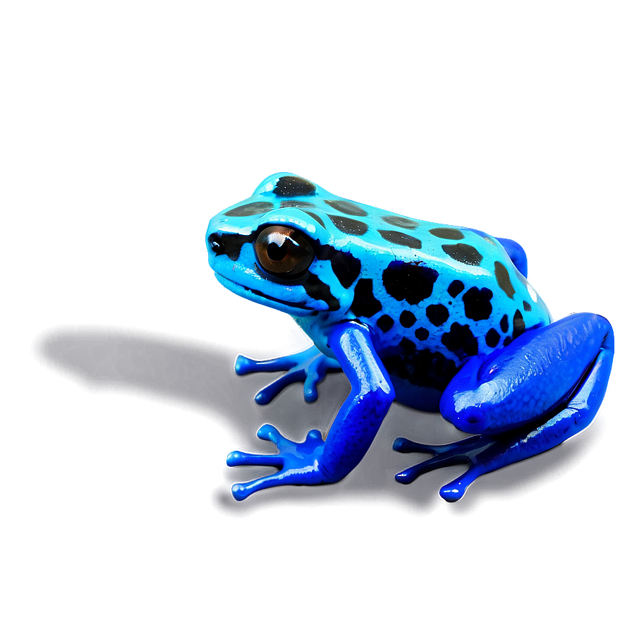 Fascinating Poison Dart Frog Png Egj50 PNG Image