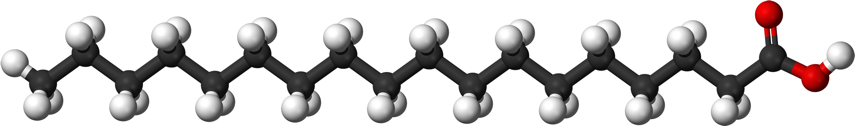 Fatty Acid Molecule Structure PNG Image