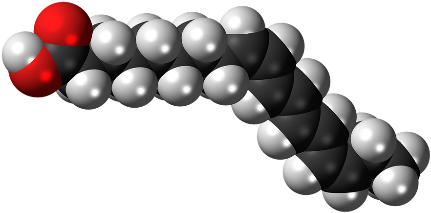 Fatty Acid Molecule3 D Model PNG Image