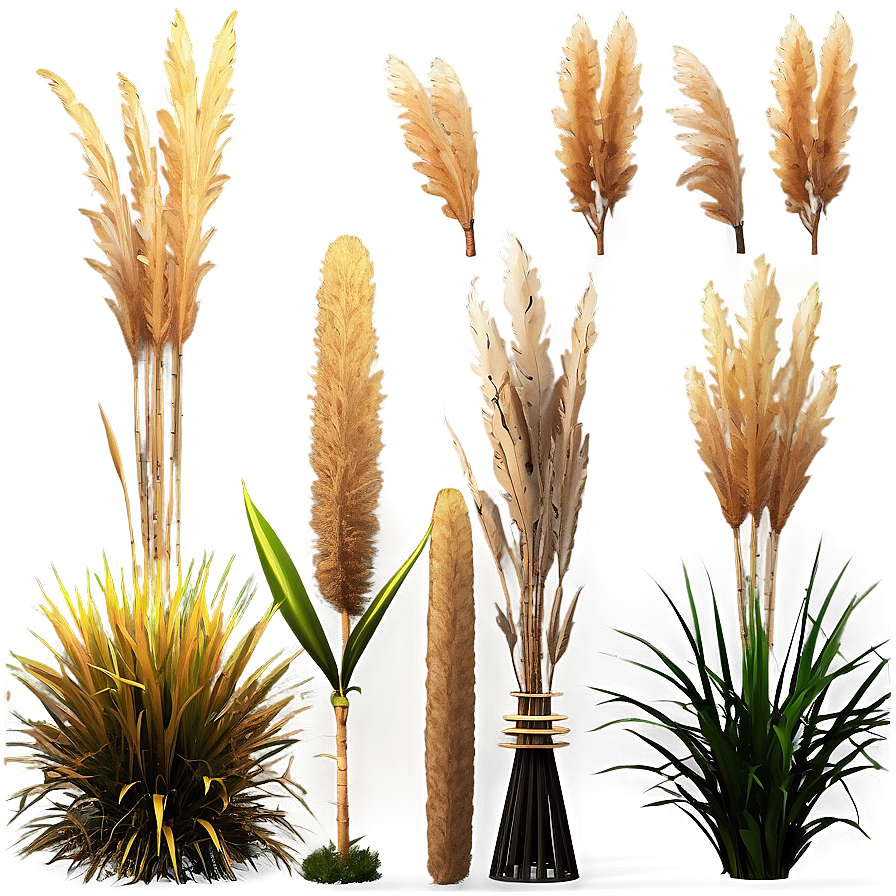 Faux Pampas Display Png 06272024 PNG Image