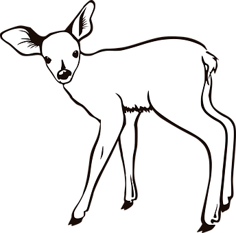 Fawn Silhouette Art PNG Image