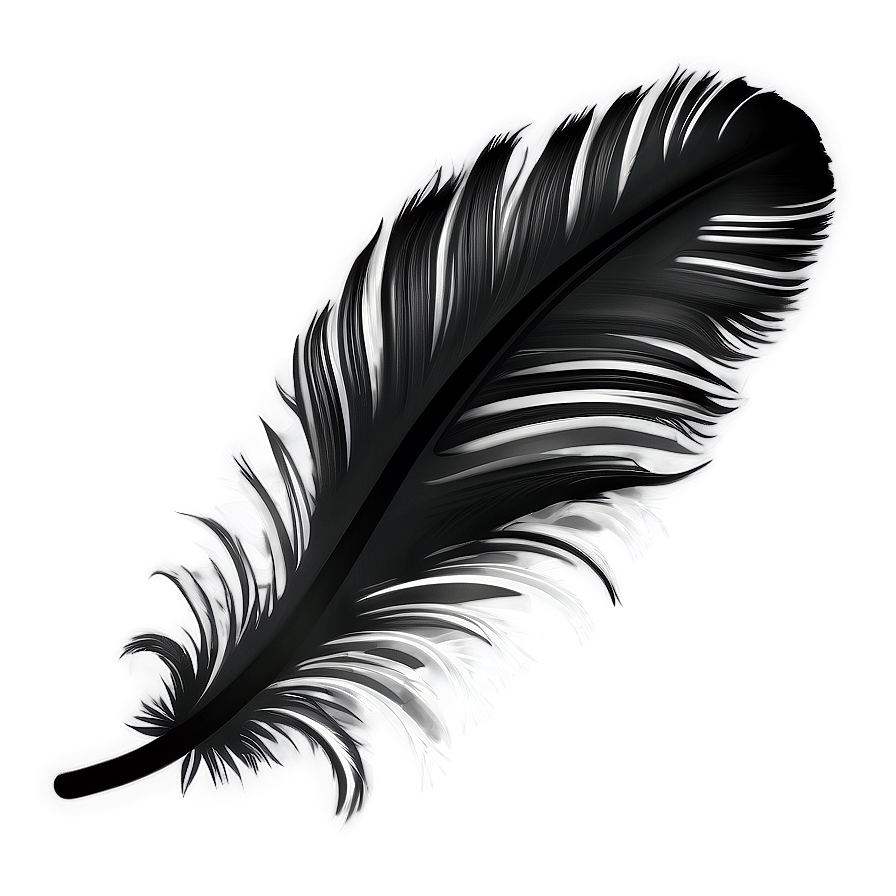 Feather Transparent Background Png 7 PNG Image