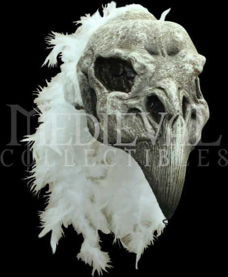 Feathered Skull Artifact PNG Image