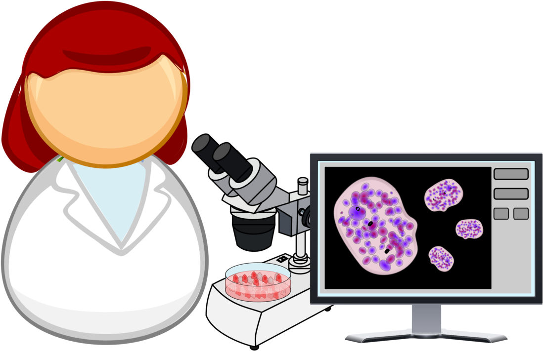 Female Scientist Analyzing Cells PNG Image