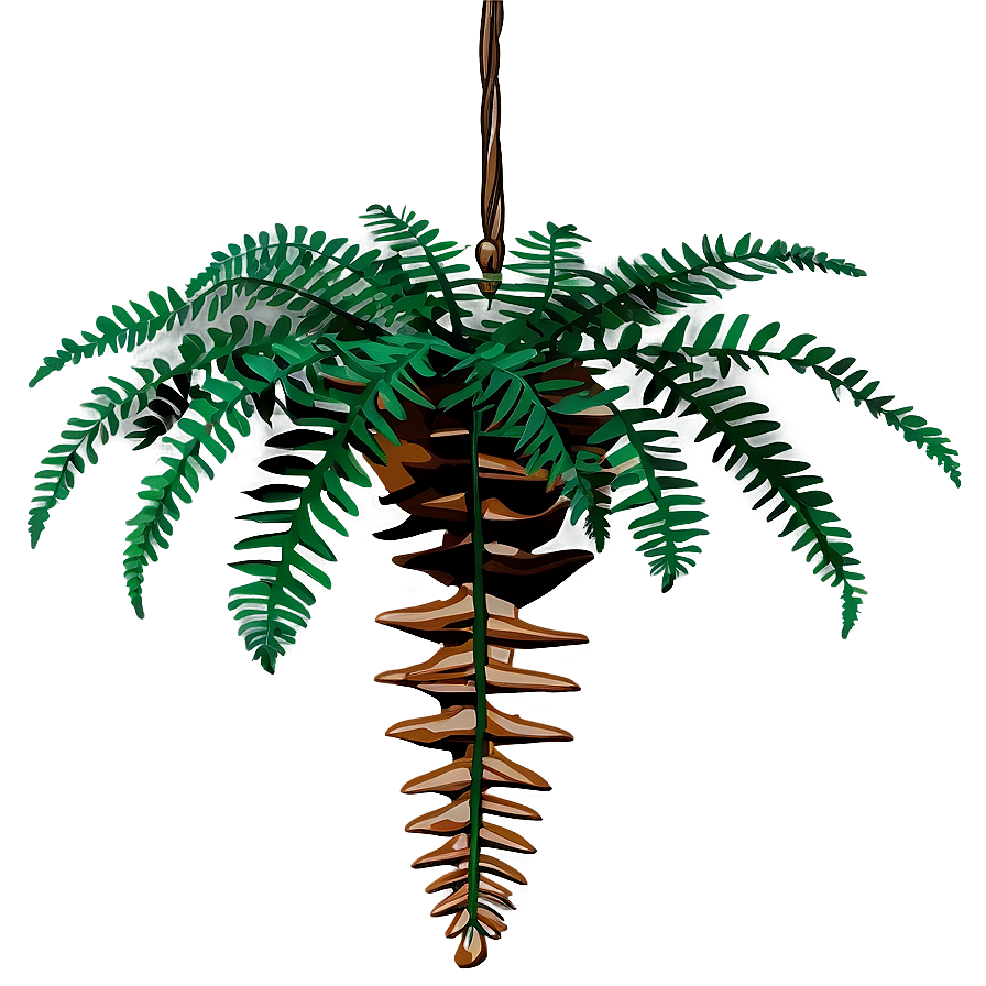 Fern Hanging Plant Png Hpo PNG Image