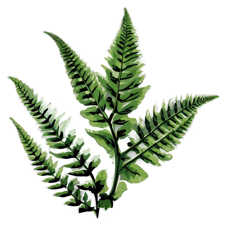 Fern Leaf Botanical Print Png Jps PNG Image