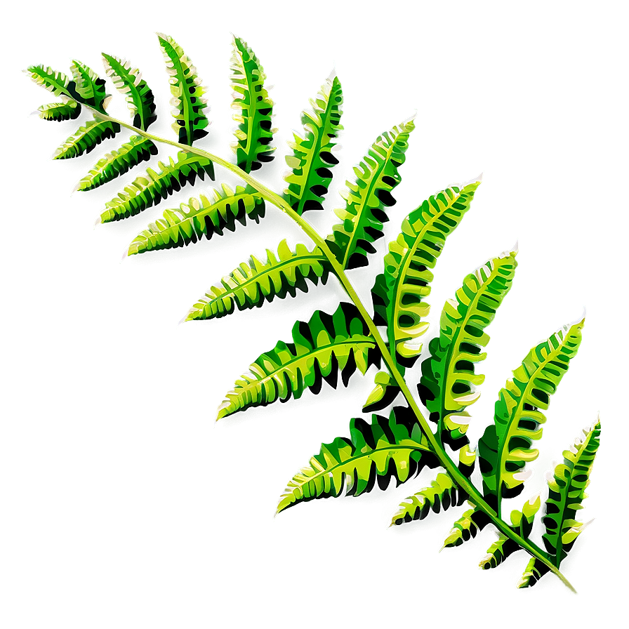 Fern Leaf D PNG Image