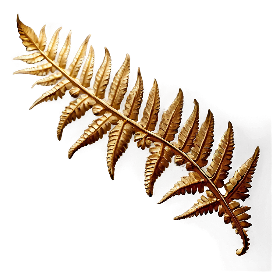 Fern Leaf Fossil Impression Png Qrw PNG Image