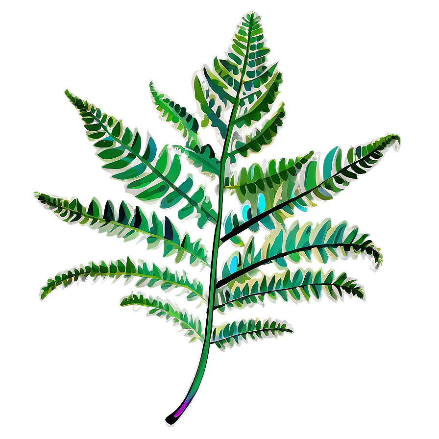 Fern Leaf Illustration Png Qpt66 PNG Image