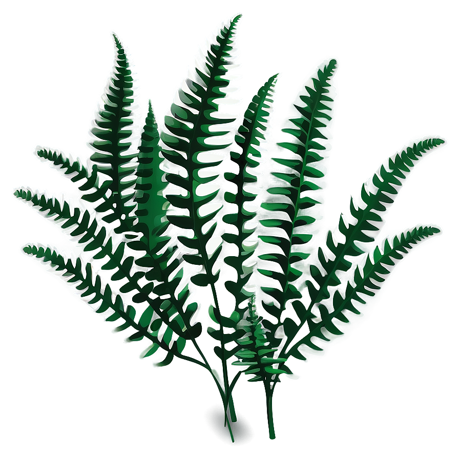 Fern Leaf Illustration Png Rrp PNG Image