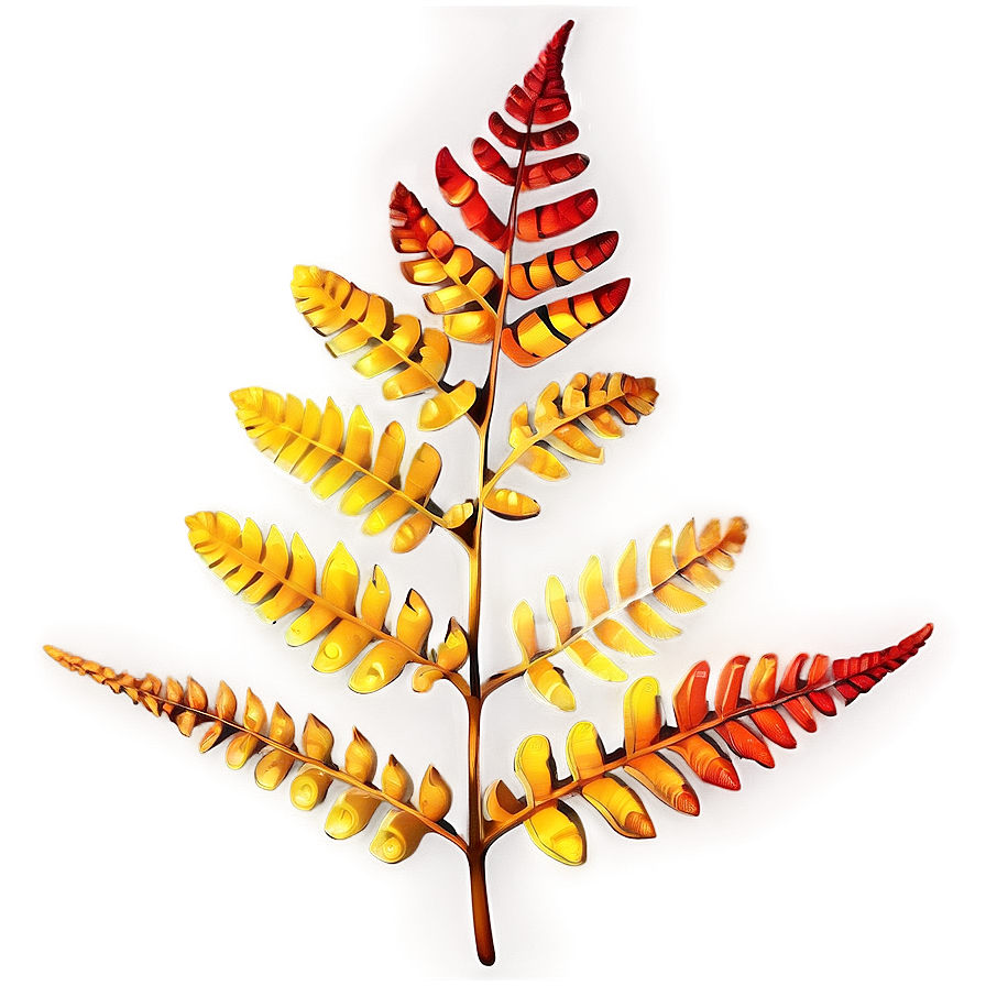 Fern Leaf In Autumn Colors Png 06282024 PNG Image