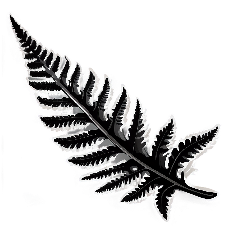 Fern Leaf In Black And White Png Tli16 PNG Image