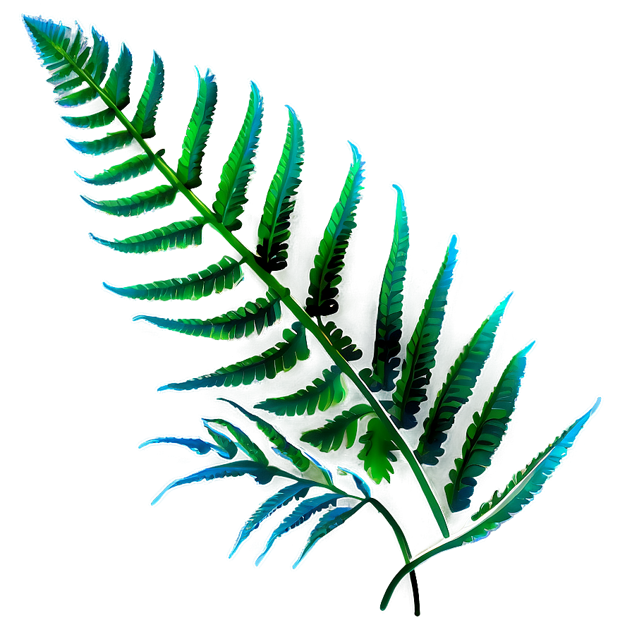 Fern Leaf Outline Png Syb85 PNG Image