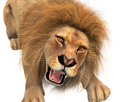 Ferocious Lion Roaring PNG Image