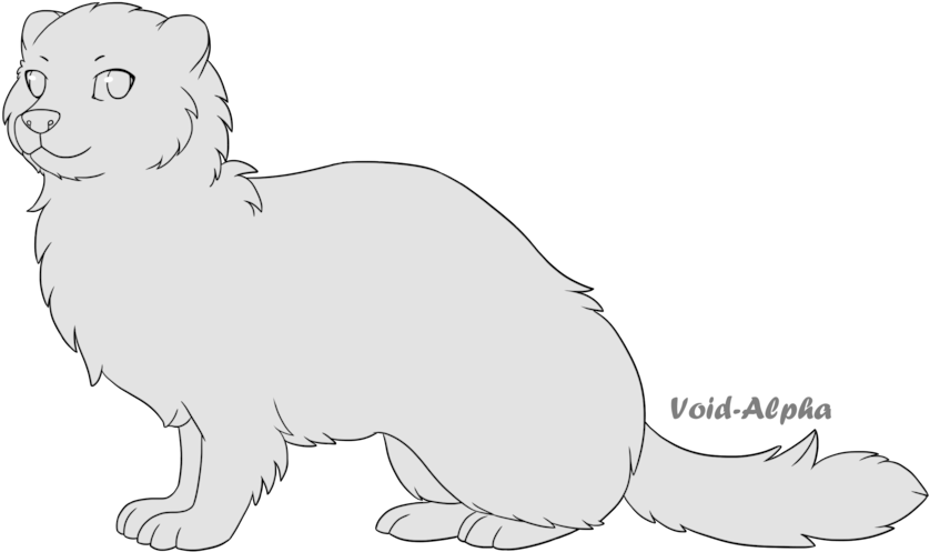 Ferret Line Art Illustration PNG Image