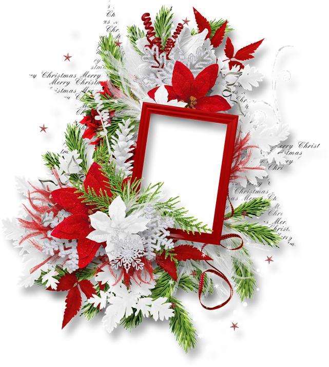 Festive Christmas Floral Frame PNG Image